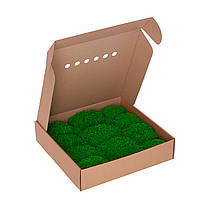 Королевский мох - Ягель - Nature Green - 0,15 м2 - Organic Design