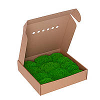 Королевский мох - Ягель - Light Green - 0,15 м2 - Organic Design