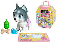 Игровой набор Simba Toys Pamper Pets Хаски (5950135)