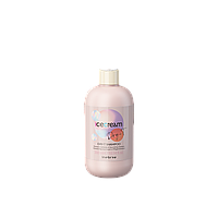 Шампунь для сухих вьющихся и окрашенных волос Inebrya Shampoo Dry-T, 300 мл