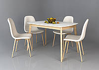 Деревянный белый современный раскладной обеденный кухонный стол в скандинавском стиле для кухни 120*80 Exen II