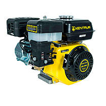 Двигун бензиновий Кентавр ДВЗ-200Б1, фото 3