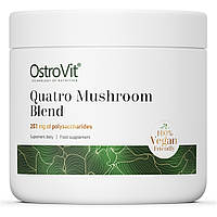 Натуральная добавка OstroVit Vege Quatro Mushroom Blend, 100 грамм CN15123 VH