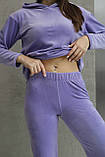 Жіночий велюровий спортивний костюм idiali (3432202), фото 3
