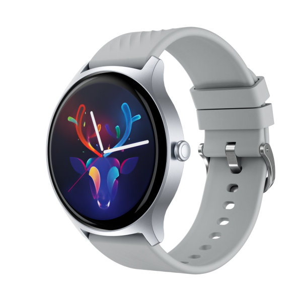 Smart Watch Proove Harmony silver UA UCRF