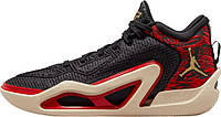 Мужские кроссовки Nike Jordan Tatum 1 Zoo