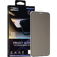 Защитное стекло Gelius Privasy Glass iPhone 12 / 12 Pro 5D Black