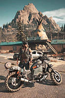 "Days Gone" - постер