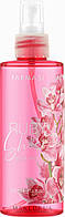 Спрей для тіла та волосся Рубінові Квіти Ruby Sheer Body Mist, Farmasi, 225 мл