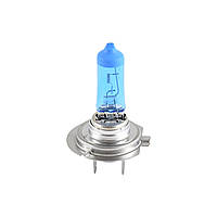 12V H7 HYPER BLUE 4200K 55W PX26d WINSO