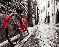 Картина по номерам Яркий велосипед 40*50 см ArtCraft 11211-AC