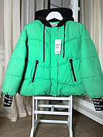 Куртка жіноча демісезонна розміри S-XL (4 кв) "MIO KARO" недорого від прямого постачальника