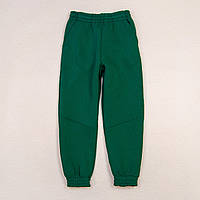 Теплі спортивні штани Dexter's emerald 146 см Зелений BM, код: 8372577