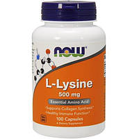 Лизин NOW Foods L-Lysine 500 mg 250 Caps NX, код: 7518438