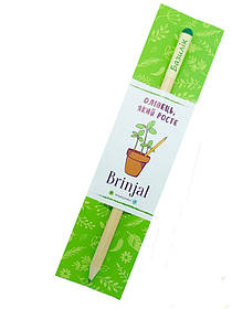 Зростаючий ЕКО олівець "Базилік"