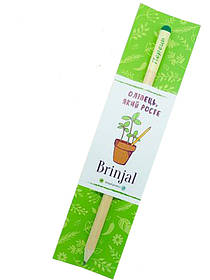 Зростаючий ЕКО олівець "Перець"