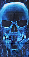 Бафф защитная маска Skull Череп Синий (SKBUFF-BL) NB, код: 7334846