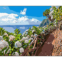 Картина по номерам Strateg ПРЕМИУМ Цветы возле тропы с лаком и размером 40х50 (GS1608)