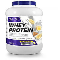 Протеин OstroVit Whey Protein 2000 g 66 servings Banana Cake GG, код: 8312015