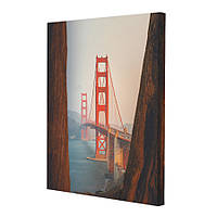 Golden Gate (40x50) (ПС50-234)