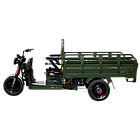Електричний мопед TRIGO JJ1.6 1000W/60V/35AH(DZM) (зеленый), фото 3
