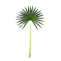 Искусственные листья Engard Fan Palm 98 см (DW-32) UL, код: 8197834