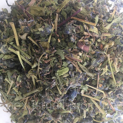 Зубровка трава Карпаты 50г NX, код: 7511405 (ID#2177597283), цена: 120 ...