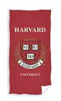 Гарвард, банное полотенце, 70х140 см. (7268560)