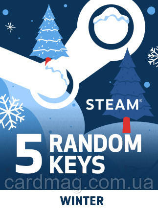 Random Winter 5 Keys для ПК (Ключ активації Steam) регіон Весь світ, фото 1