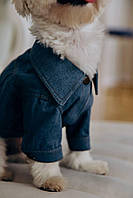Джинсовая куртка для собак Одягни собаку голубая M (С- 29 см,Г- 38 см)