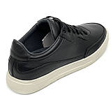 Кеди шкіряні чорні з бежевою підошвою чоловічі із чорною шнурівкою  Sergio Billini 0111-210 розмір 40, фото 7