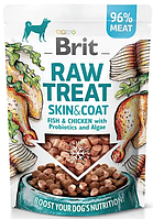 Лакомство для собак Brit Raw Treat Skin and Coat Freeze-dried - 40гр с рыбой и курицей для здоровой шерсти