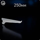 Полкотримач L 250мм (1,2мм), чорний. Рейки-опори комплектуючі до торгового обладнання, фото 5