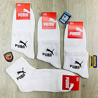 Білі шкарпетки Puma