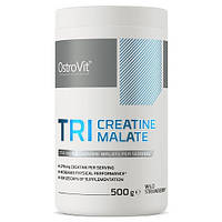 Креатин малат OstroVit TRI CREATINE MALATE (500 грамм.)(ДИКАЯ КЛУБНИКА)