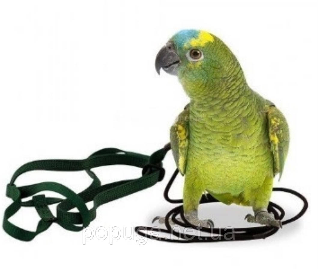 АВІАТА — Шлея для папуги LBW-0699-L 600-1000gm