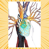 Плакат А3 Аніме Houseki no Kuni / Край самоцвітів 010