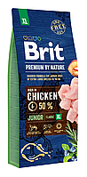 Сухой корм Брит Brit Premium Junior XL для щенков и молодых собак гигантских пород, 15 кг