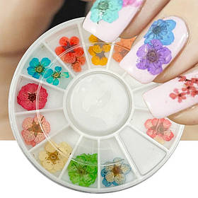 Набір (24 шт) сухоцвітів для дизайну та декору нігтів з 12 різних кольорів, в каруселі 410