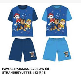 Набір 2 в 1 для хлопчиків оптом, Disney,  № PAW-G-Pyjamas-670