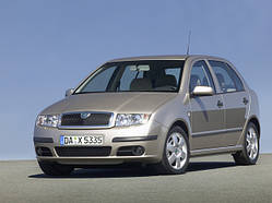 Лобове скло на Skoda Fabia 1999-07 г.в.