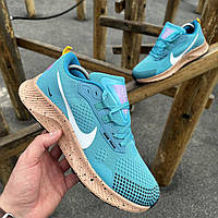 Кросівки чоловічі Nike Pegasus Trail (blue)