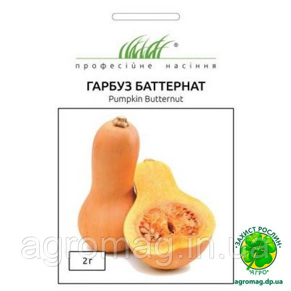 Гарбуз Баттернат 2г