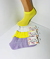 Шкарпетки жіночі 12 пар демісезонні бавовна SLID LEVA укорочені розмір 36-39 мікс