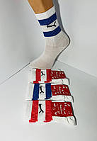 Шкарпетки спортивні 12 пардемісезонні високі з бавовни Puma розмір 36-40