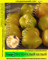 Насіння томату Пустотіла білий 50г