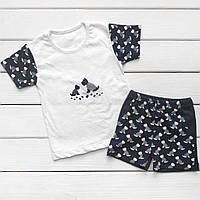 Комплект для мальчика Malena dog футболка и шорты 110 см синий белый (1392141229) NB, код: 8334388
