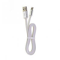 USB Cable Light Night Iphone 5 Lightning AA