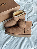 Ugg Classic Mini Chestnut (замша) 37 w sale