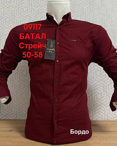 Батальна стрейчева сорочка FlyBoys з довгим рукавом - 2972, фото 1